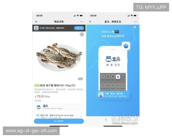 全面了解开云官网网页版最新活动优惠，享受尊贵购物体验尽在开云官网网页版