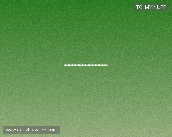 尊龙凯时九游娱乐手机网址专业的技术团队，确保平台稳定运行无宕机