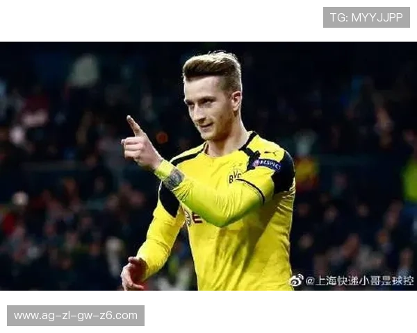 z6尊龙限量版车型详细解析，豪华配置与性能表现全面升级