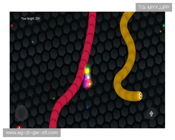 ag厅官网最新版本下载安装指南，全面解析官网功能与使用技巧