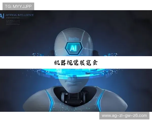 探秘尊龙z6官方首页，获取最权威的游戏攻略与技巧