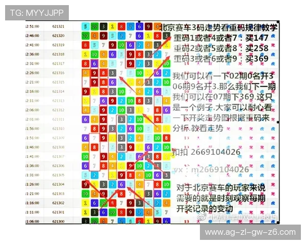 掌握PK10赛车技巧提升中奖率的实用攻略与操作指南 掌握PK10赛车技巧提升中奖率的实用攻略与操作指南