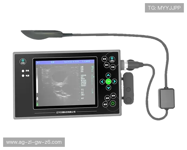 z6尊龙凯时官网最新版本上线，全面优化游戏体验与安全保障