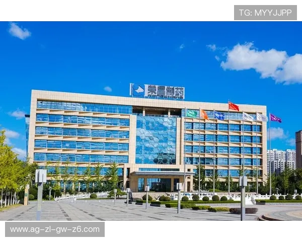 凯发k8国际如何实现资金安全保障为玩家提供最可靠的保障