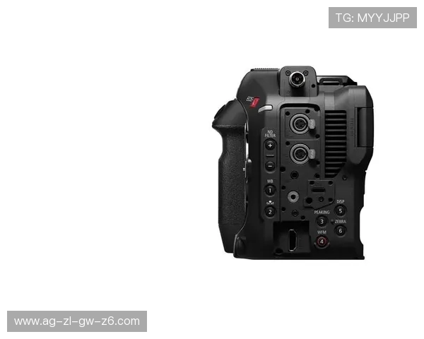 尊龙Z6中国区官网入口最新官方指南帮助玩家快速登录体验