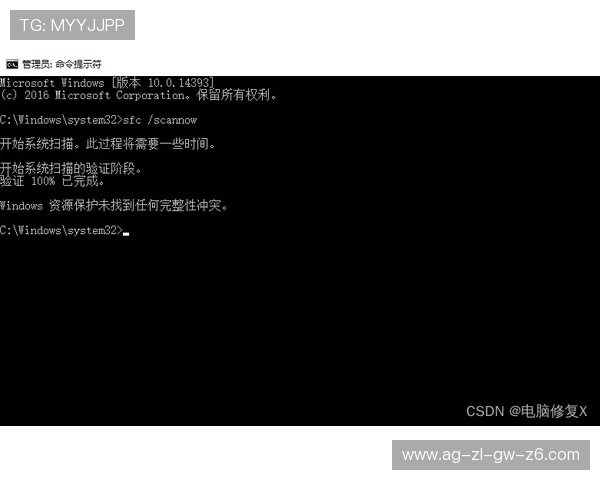 尊龙会官网会员登录入口安卓客户端下载常见问题及解决方案解析
